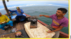 Screenshot-2025-11-06-15.10.45